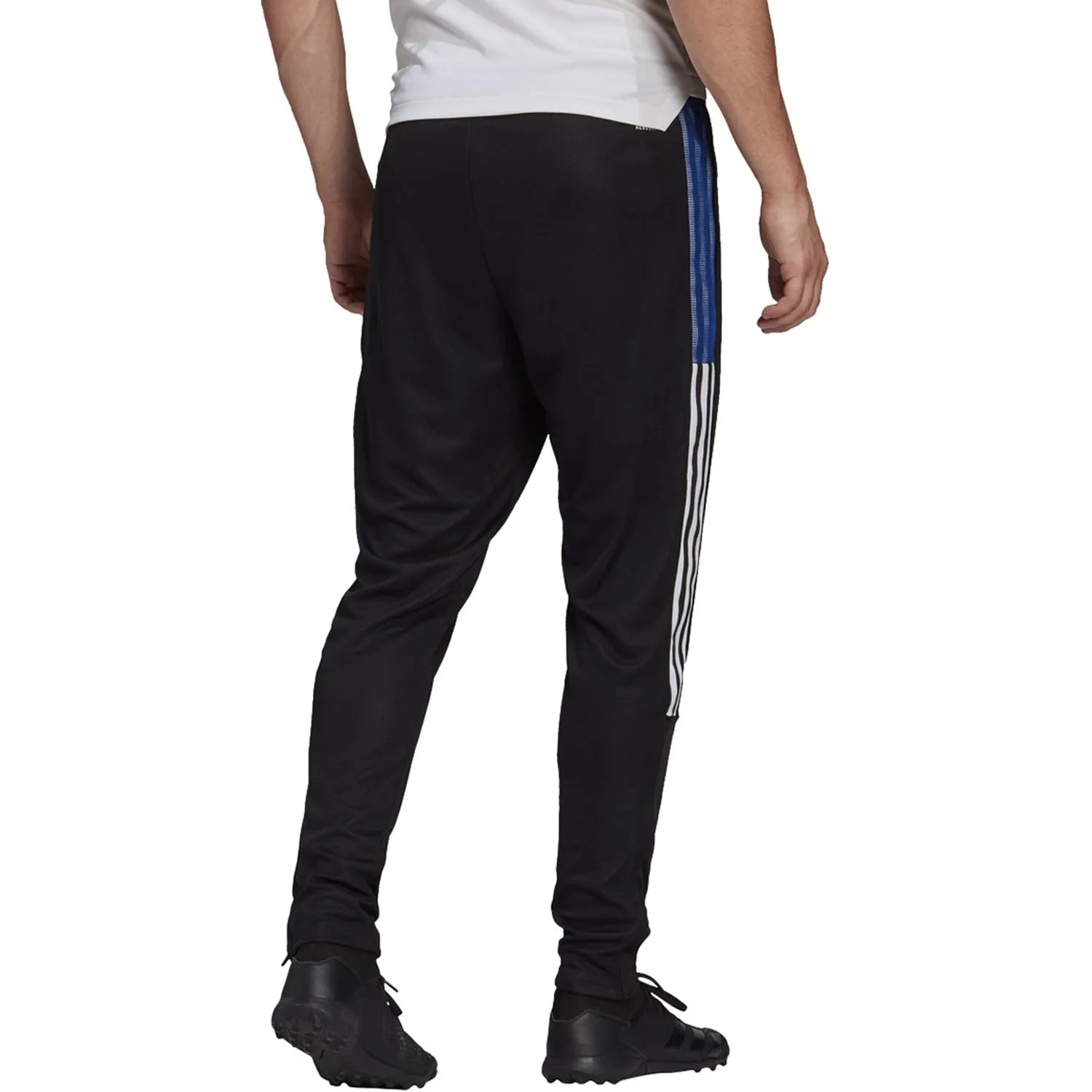 Adidas Tiro 21 Men's Track Pants Black-Royal Blue