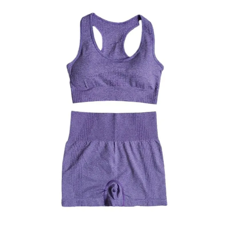 Seamless High-Waist Yoga Set