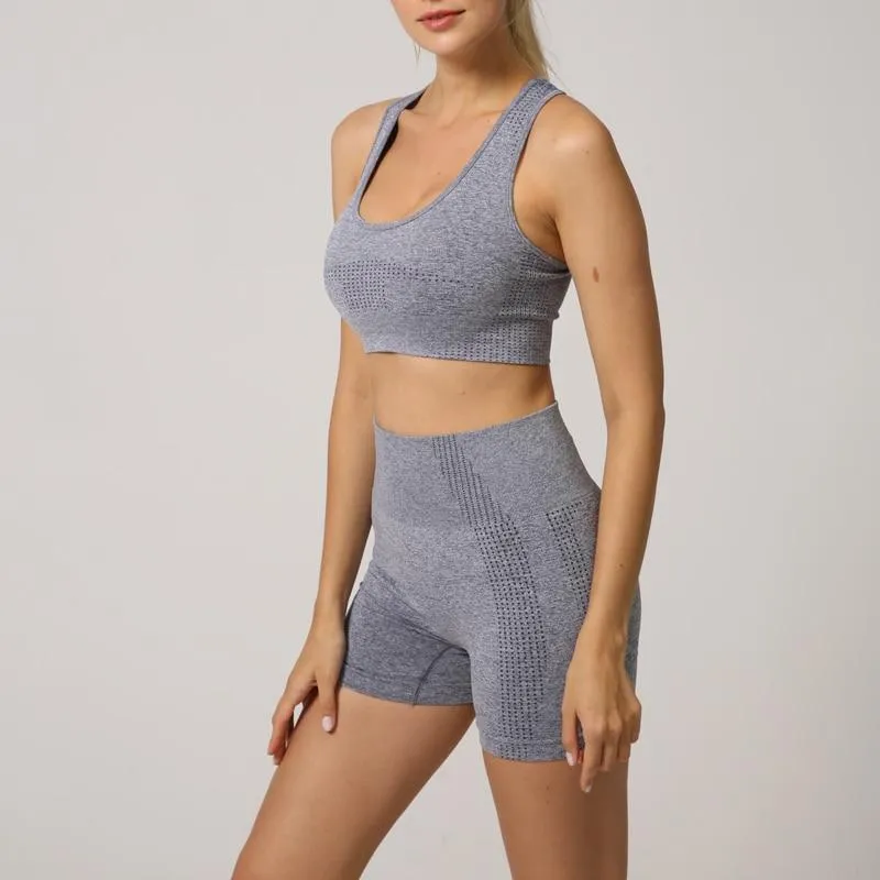 Seamless High-Waist Yoga Set