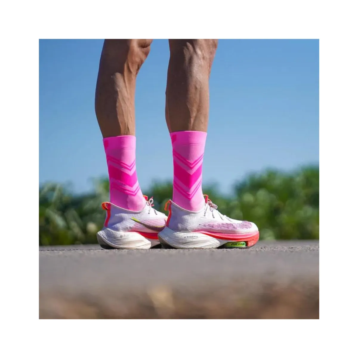 Sporcks Posh Pink Socks